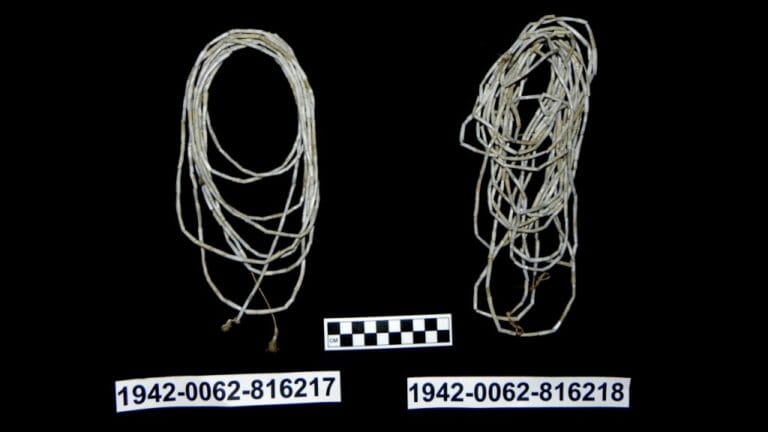 dentalium necklaces
