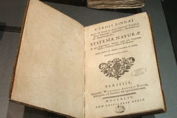 Sistematica_e_tassonomia