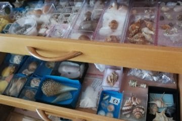 pulizia_e_conservazione